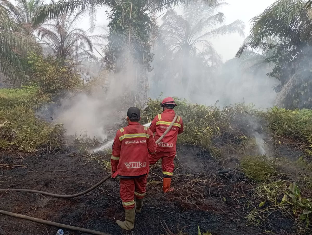 Tim Manggala Agni Balai Dalkarhut Wilayah Sumatera terus melakukan operasi pemadaman karhutla di sejumlah wilayah rawan di Riau, Jumat (29/5/2026). (f: Ist)