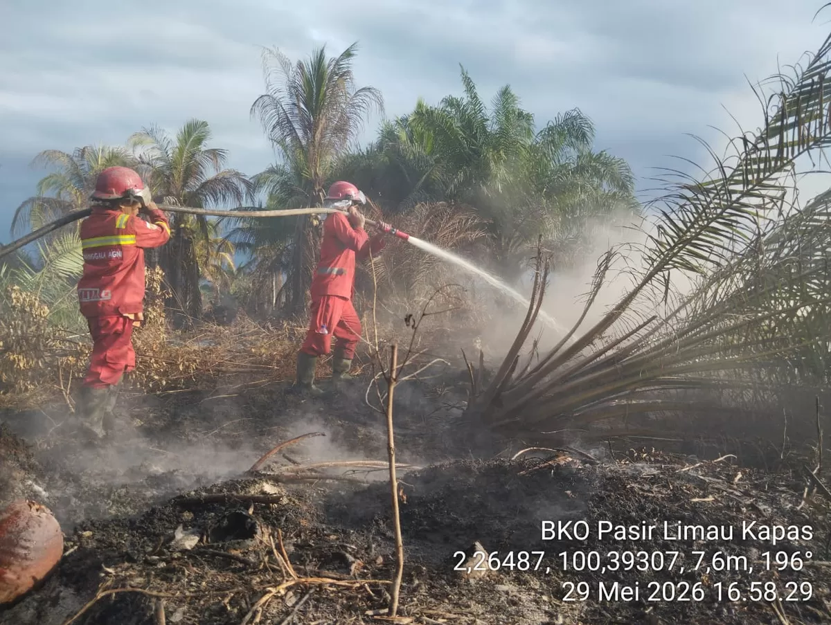 Operasi penanganan karhutla di Riau. (f: Ist)