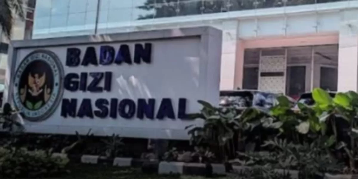 Menyoroti dugaan kasus tata kelola Badan Gizi Nasional (BGN) di era kepemimpinan Dadan Hindayana.  (f: Instagram.com/@pandemictalks)
