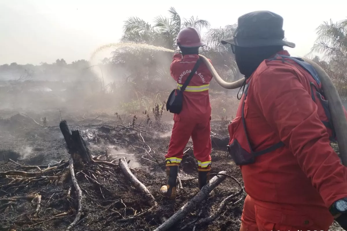 Tim Manggala Agni berjibaku memadamkan kebakaran lahan gambut di Provinsi Riau. (f: Ist)