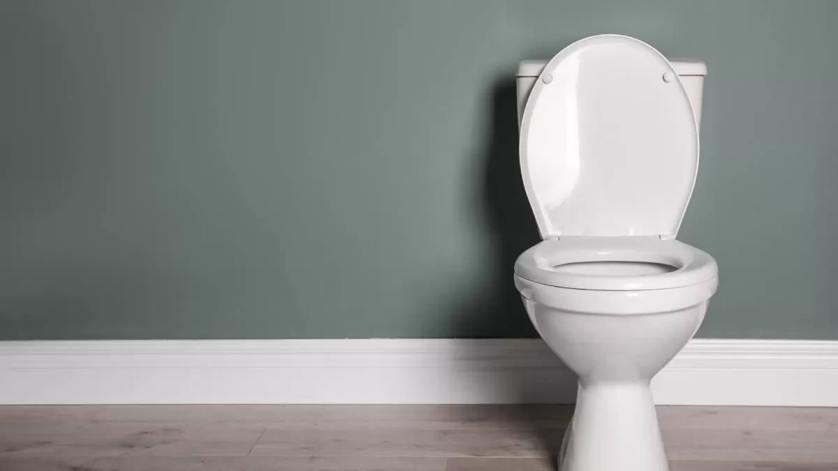 Ilustrasi toilet 