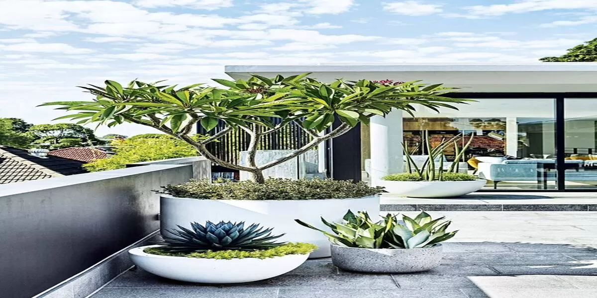 Cuma Ubah Bagian Depan Rumah, Tampilan Langsung Naik Kelas: Ini 10 Inspirasi Teras Modern! 