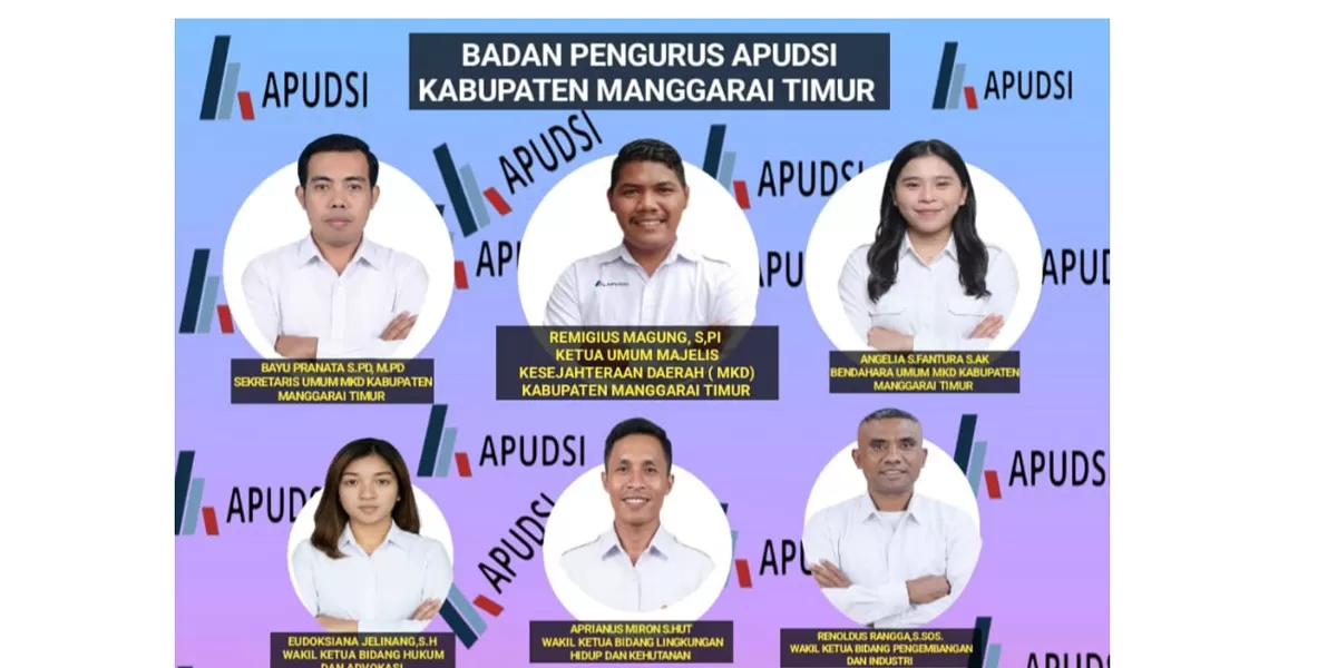 Susunan Badan pengurus APUDSI kabupaten Mangggarai Timur (Istimewa)
