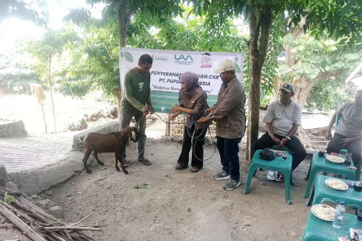 Dari Kalikur WL, Lembata: 23 Ekor Kambing Tebar Harapan, Peternak Sambut Masa Depan Baru (Foto: Dok. Newsdaring)