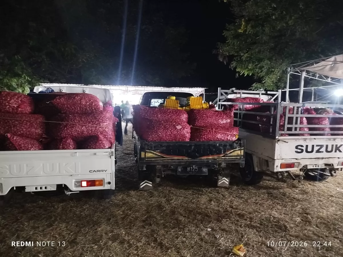 Ninonk Bikin Harga Bawang Merah Tetap Murah, Ibu-Ibu Rumah Tangga Ikut Berpenghasilan