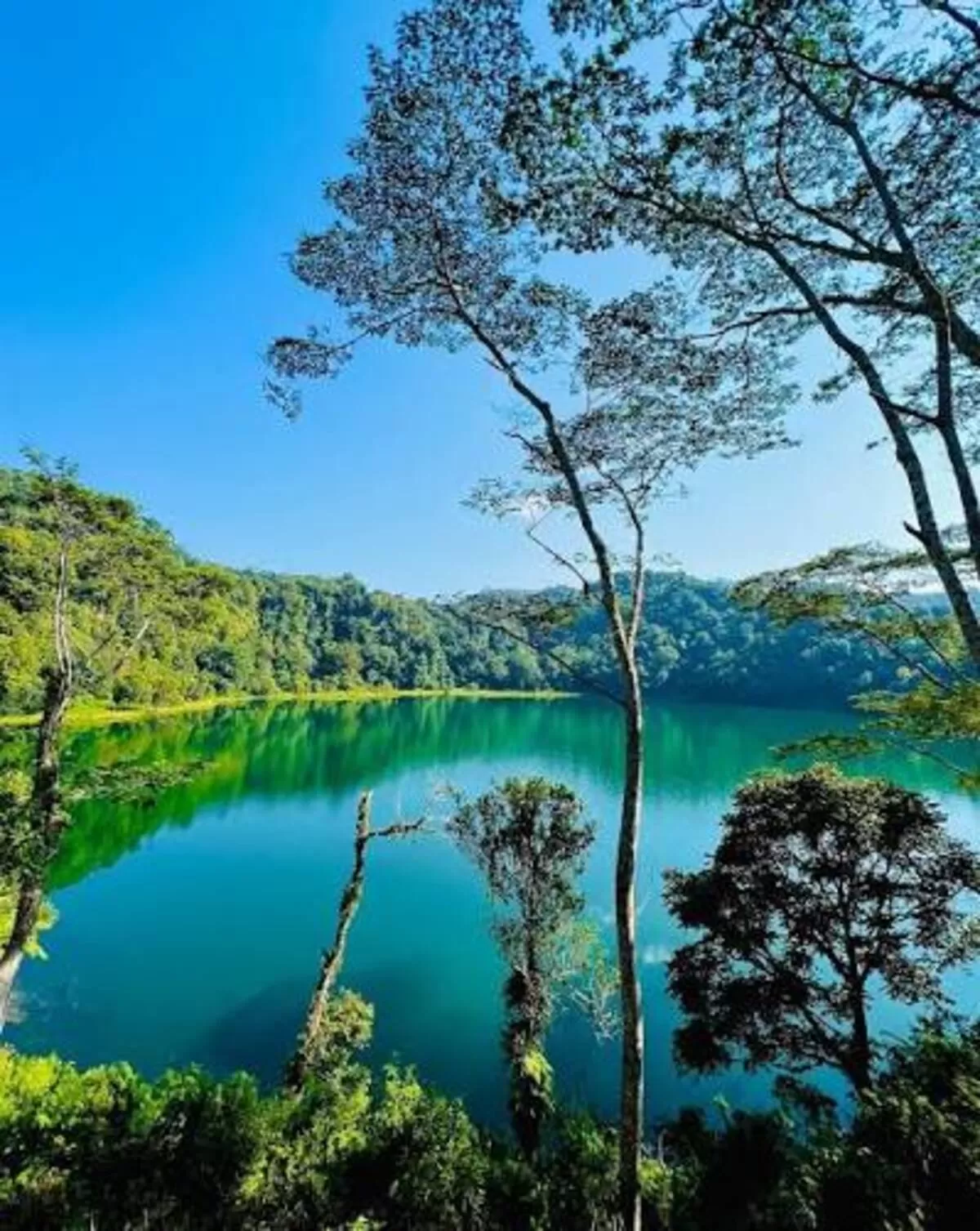 Ilustrasi : Danau Ranamese Manggarai NTT