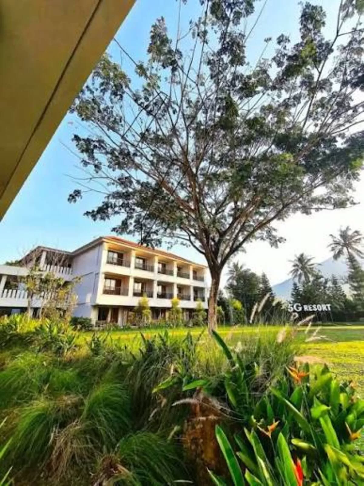 Ilustrasi: Tempat Staycation di Bogor