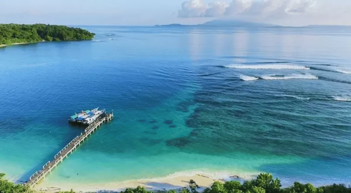 Jelajahi 7 Wisata Terbaik di Taman Nasional Ujung Kulon, Ada Sungai Mirip Amazon yang Viral