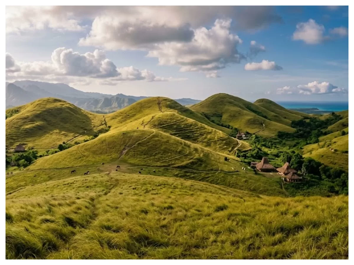 Ilustrasi Foto:  5 Bukit di Sumba Ini Punya Pesona Alam yang Bikin Susah Berpaling.