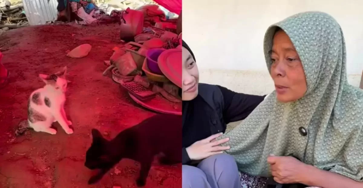 Cerita warga Pidie Jaya, Aceh yang kini ikut jadi tim memasak di dapur umum - WartaPesona.com (ArahPublik)
