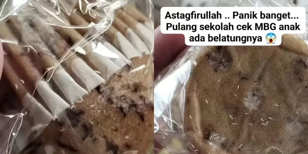 Viral Orang Tua Siswa Ungkap Kondisi Roti MBG Anaknya yang Masih PAUD, Penuh Belatung dari SPPG di Pecangaan Jepara - WartaPesona.com (Si Jogja)