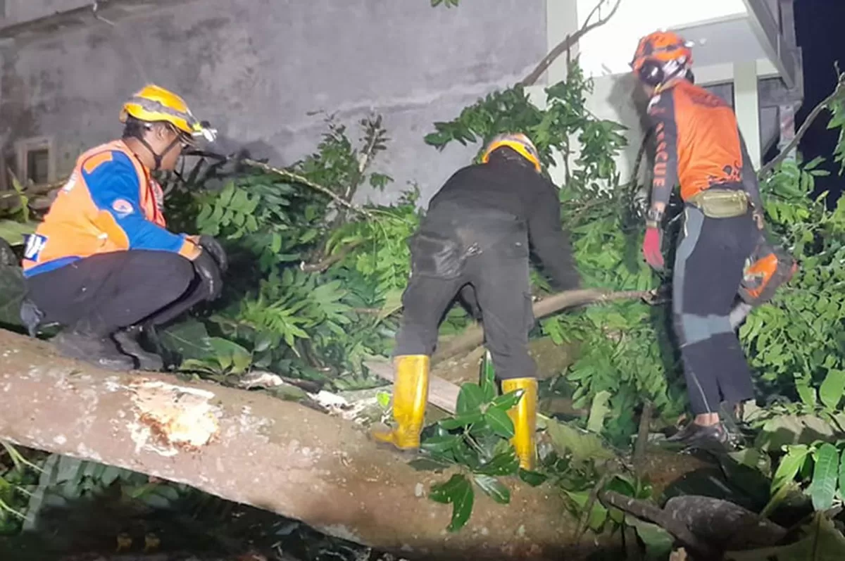 Petugas BPBD Kota Tasikmalaya mengevakuasi pohon tumbang di Jalan Paseh Kota Tasikmalaya yang merusak warung warga, pada Minggu 11 Januari 2026, dini hari. (Dok. BPBD)