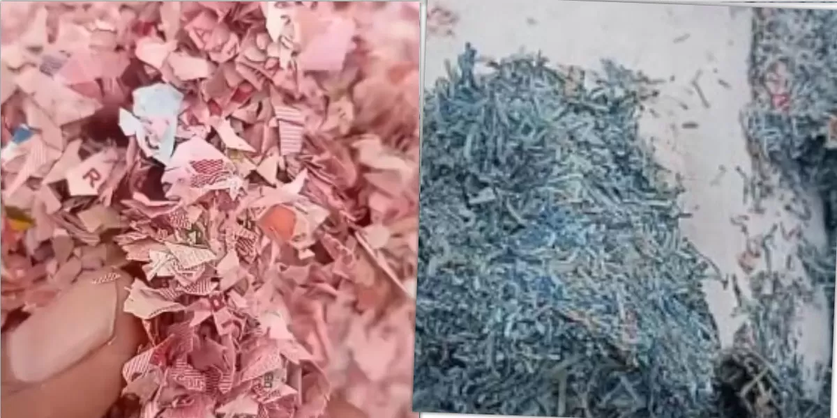 Cacahan uang kertas di TPS liar Bekasi dipastikan asli. DLH Bekasi kini berkoordinasi untuk mengungkap asal sampah tersebut. (Instagram/sahabatpedulilingkungan)