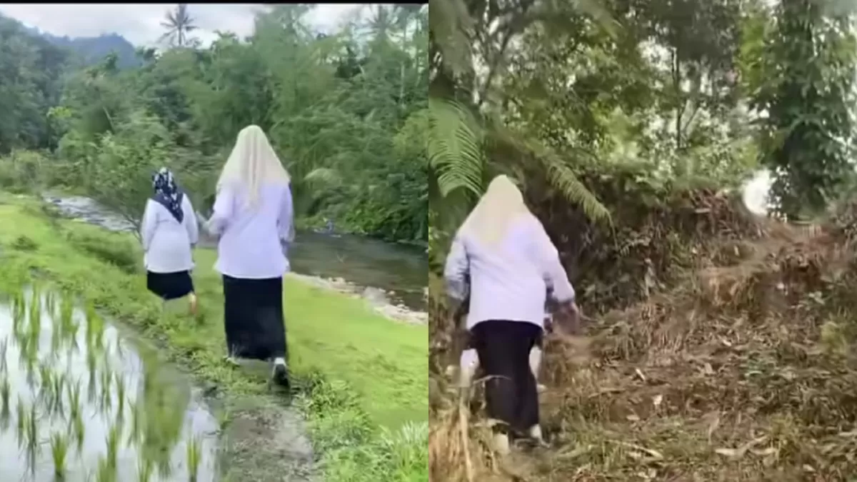 Perjuangan Guru Padang Pariaman viral. Guru SMPN 3 Kayu Tanam lalui Akses Jalan Siswa ekstrem demi menemui muridnya.   (Instagram/smpntigakayutanam.pdgpariaman)