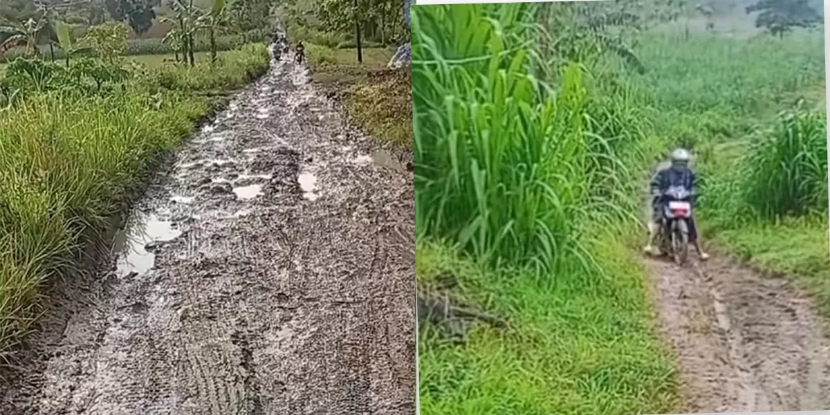 Video guru di Grobogan viral, soroti jalan berlumpur ke SDN 4 Pandanharum. DPUPR Grobogan beri tanggapan.     (TikTok/bu_guru_nieng_kls4)