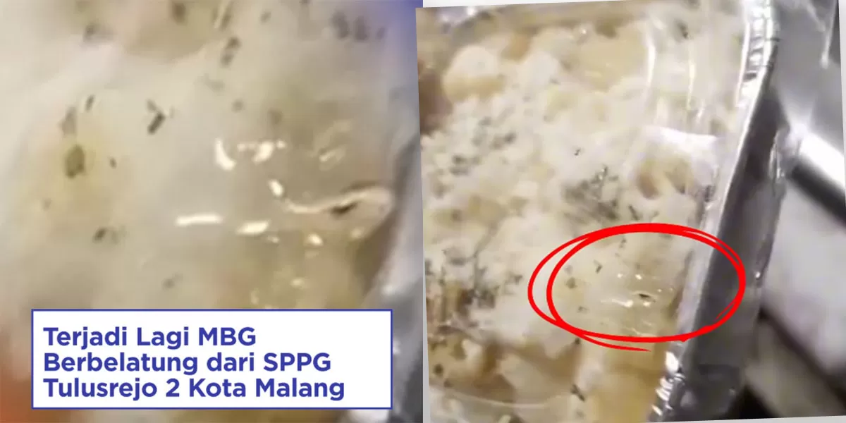 Menu MBG berbelatung yang viral di Malang berujung penghentian operasional SPPG Lowokwaru Tulusrejo 2 oleh Badan Gizi Nasional. (Instagram/info_malang)