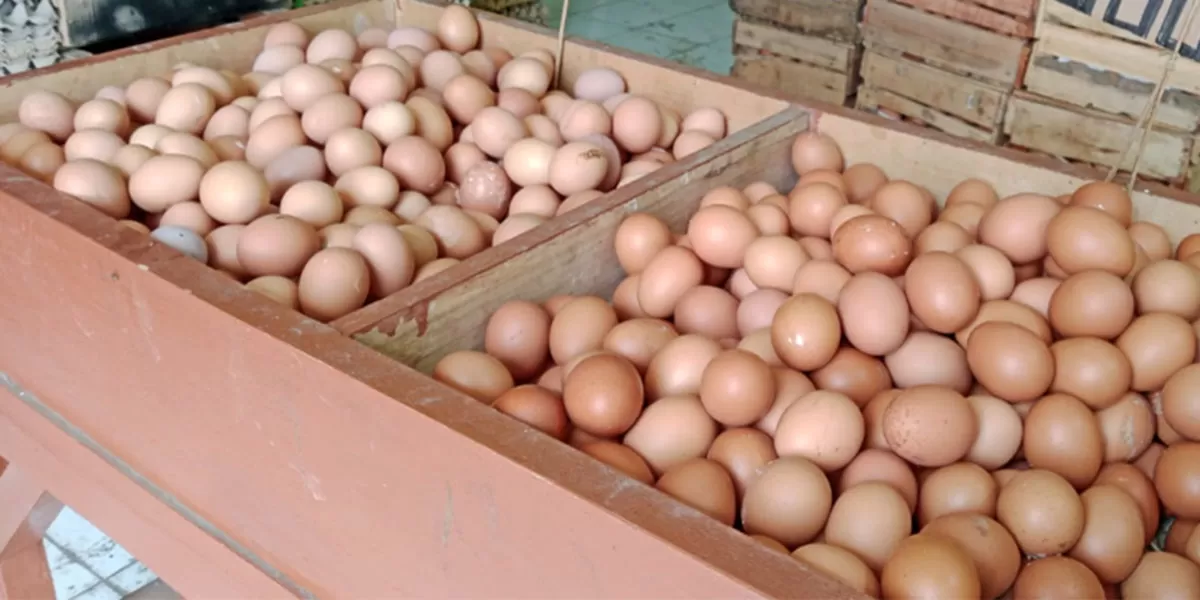 Harga telur di Kota Tasikmalaya naik tajam di Pasar Cikurubuk. Warga mulai berburu telur pecah karena lebih murah. (Dok. AMS)