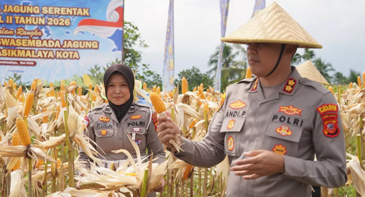 Kapolres Tasikmalaya Kota AKBP Andi Purwanto melaksanakan kegiatan Panen Raya Jagung Serentak di Kecamatan Cisayong, Kabupaten Tasikmalaya, Sabtu (16/5/2026). (Dok. AMS)