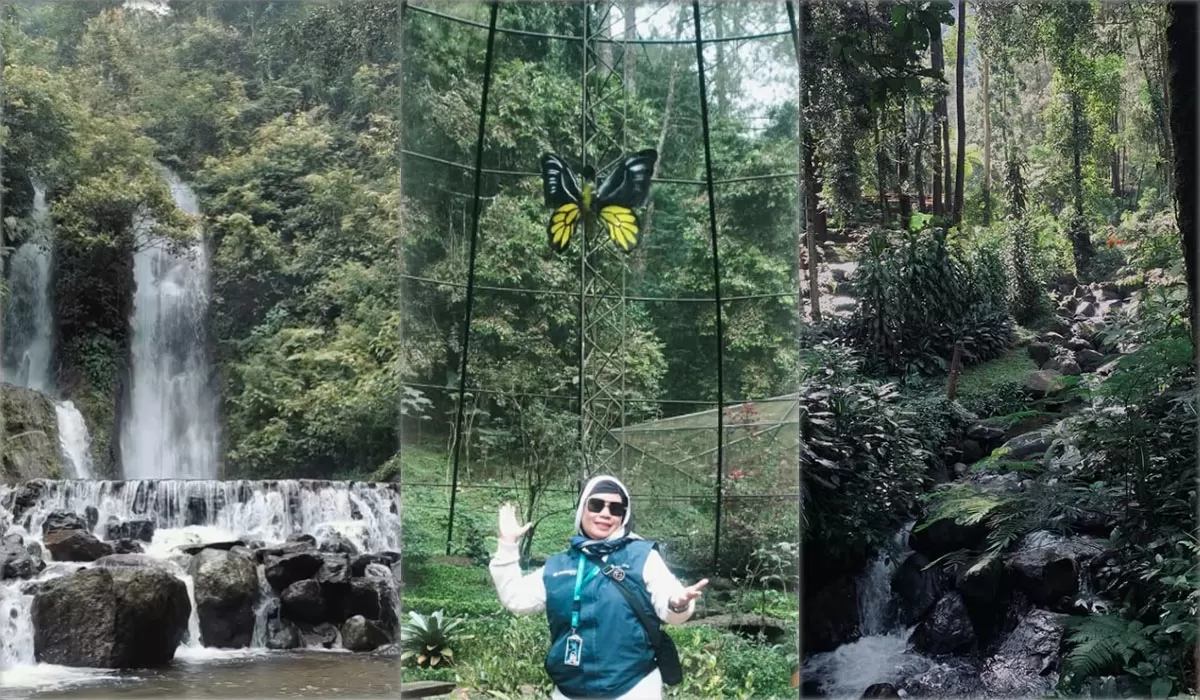 Curug Cilember kini makin tertata. Palawi Risorsis terus poles wisata alam di Kabupaten Bogor ini sebagai destinasi ekowisata favorit keluarga. (Dok. AMS)