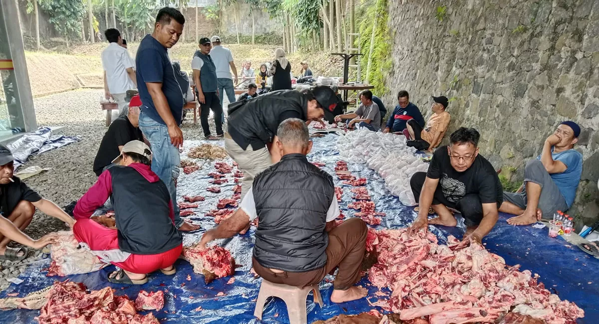 Momen Iduladha 2026, DPC Gerindra Kota Tasikmalaya gelar penyembelihan 4 hewan kurban. 700 kantong daging dibagikan langsung untuk masyarakat, Kamis (28/5/2026). (Dok. AMS)