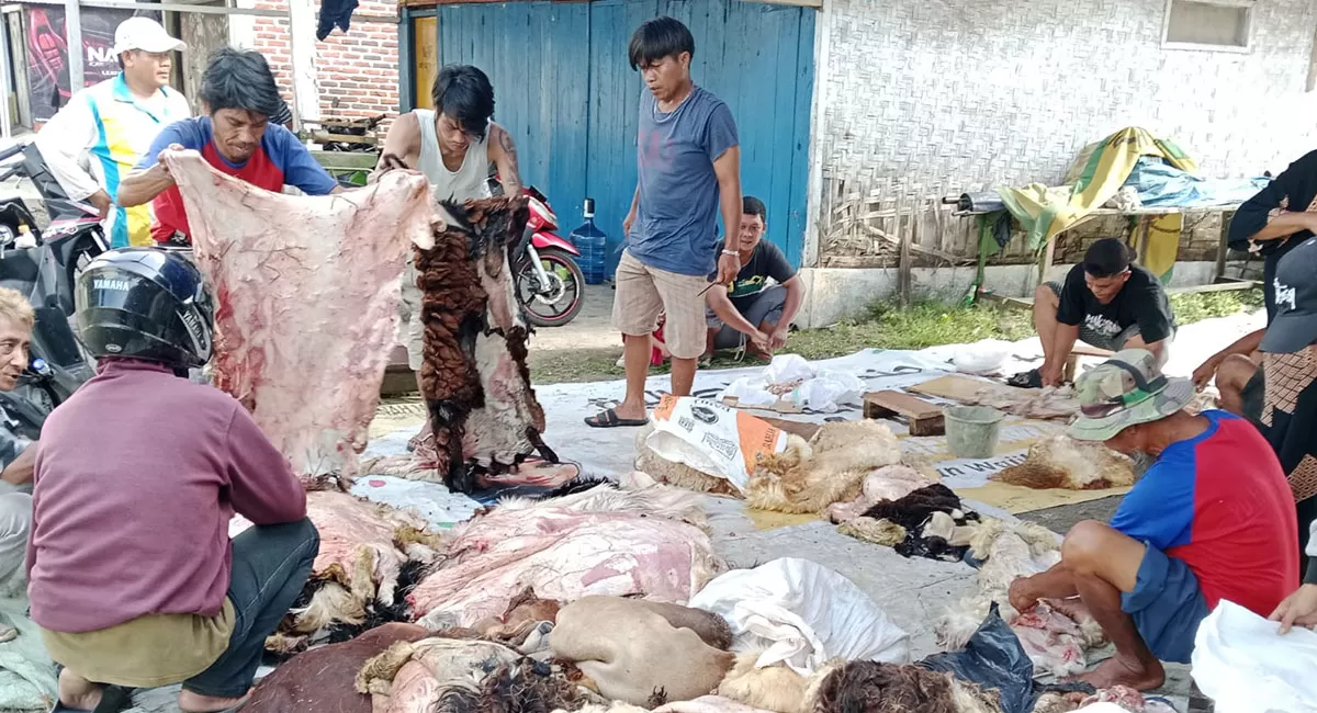 Penjualan kulit hewan kurban Lebaran 1447 H di Kota Tasikmalaya menurun, diikuti turunnya harga kulit sapi, tampak penjual kulit hewan di Jalan Paseh, Kota Tasikmalaya, Jumat (29/5/2026). (Dok. AMS)