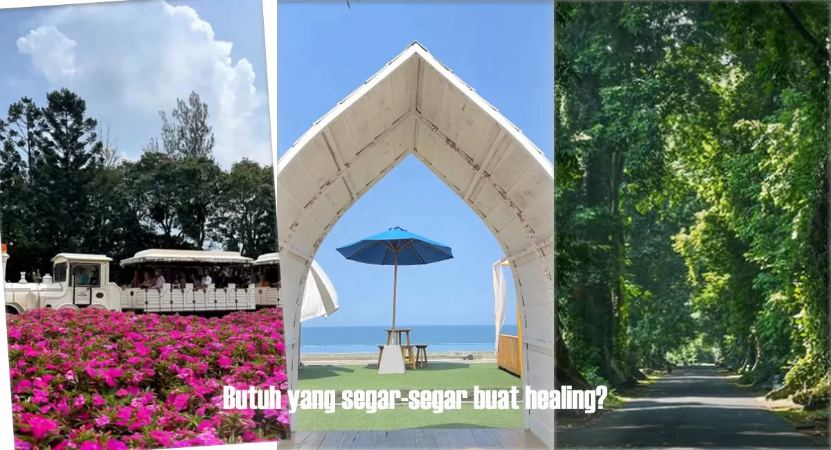 Bosan macet di Puncak? Yuk, intip 3 destinasi wisata hits di Cianjur, Jawa Barat ini! Ada spot ala Santorini dan bunga sakura yang bikin takjub. (Instagram/tamanbunganusantara - karangpotongoceanview - kebunraya.cibodas)