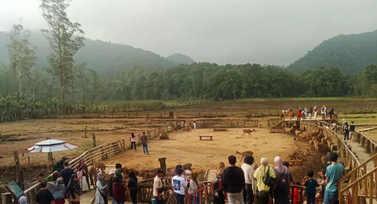 Dua objek wisata Kawah Putih dan Ranca Upas dipadati pengunjung saat akhir pekan. PT Palawi Risorsis optimistis tren wisata terus meningkat. (Dok. AMS)
