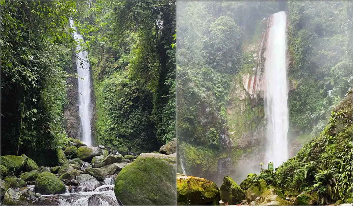 Curug Seribu Bogor jadi air terjun tertinggi di Halimun Salak dengan trekking 30 menit dan suasana alam yang asri dan sejuk. (Dok. Kemenpar)