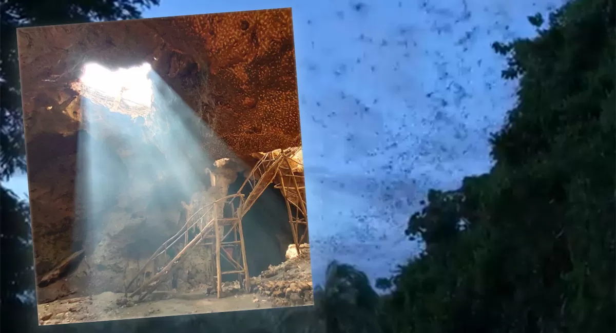 Gua Bangkang Lombok Tengah atau Gua Sumur menyimpan ribuan kelelawar dan cahaya ilahi yang membuatnya jadi wisata unik.   (Dok. Tur Ojak)