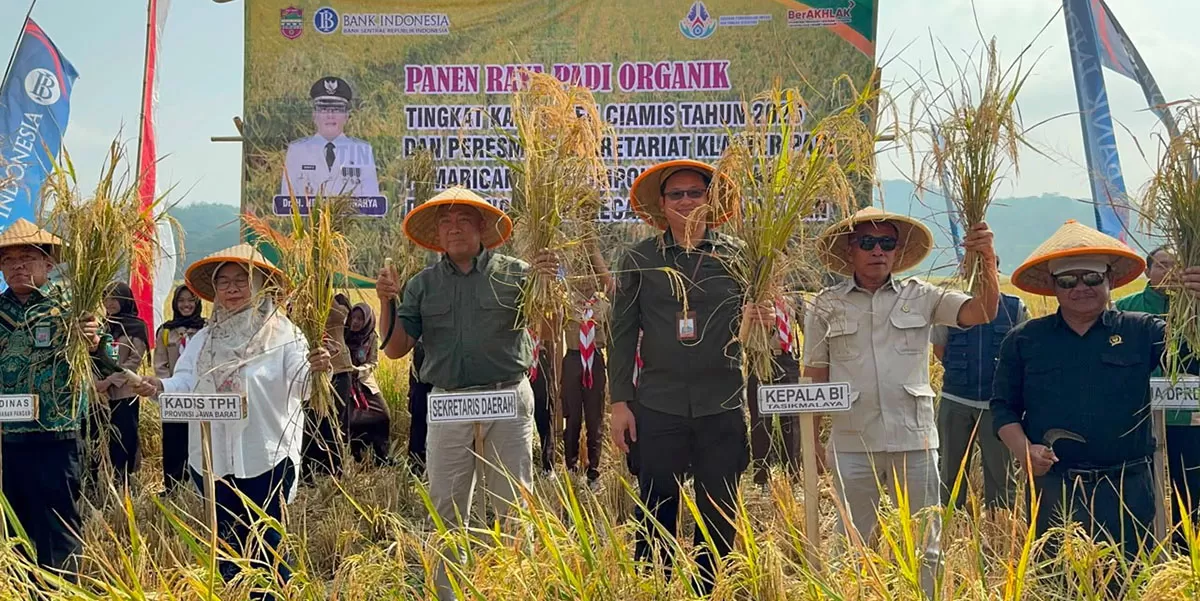 Kegiatan Panen Raya Klaster Padi Pamarican dan peresmian Kantor Sekretariat Klaster Padi Pamarican di Desa Bangunsari, Kecamatan Pamarican, Kabupaten Ciamis, Kamis (16/7/2026). (Dok. AMS)