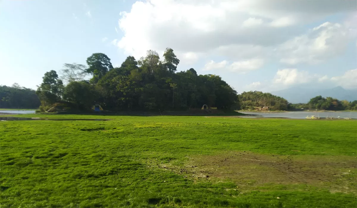 Sebagian besar area Situ Gede Kota Tasikmalaya sudah berubah menjadi daratan dan ditumbuhi rumput liar. Genangan air hanya terlihat di beberapa bagian, dengan area genangan terbanyak berada di tengah situ. (Dok. DFK)