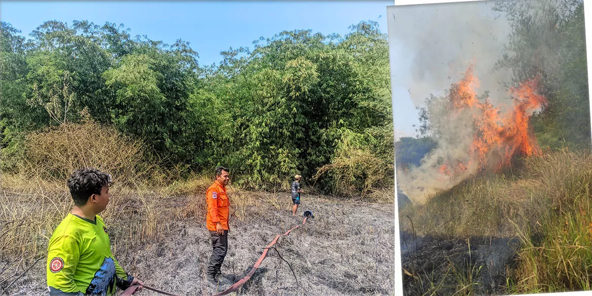 Petugas gabungan TAGANA, Damkar, BPBD, Polsek Sukaresik, TNI, bersama perangkat Desa Sukaratu, berjibaku memadamkan kebakaran di lahan kering di Desa Sukaratu, Kecamatan Sukaresik, Kabupaten Tasikmalaya (Dok. Damkar)