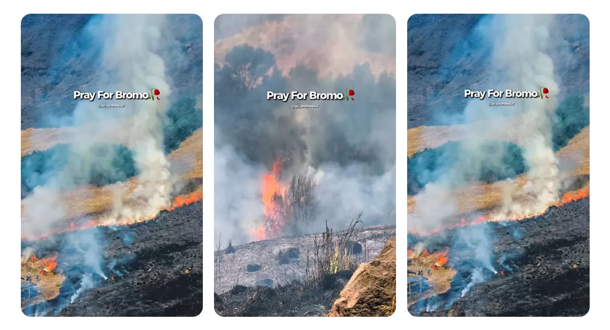 Kebakaran Gunung Bromo terus meluas hingga 70 hektare. Jalur Malang-Lumajang ditutup sementara akibat kebakaran hutan. (Instagram/hamdaa14_)