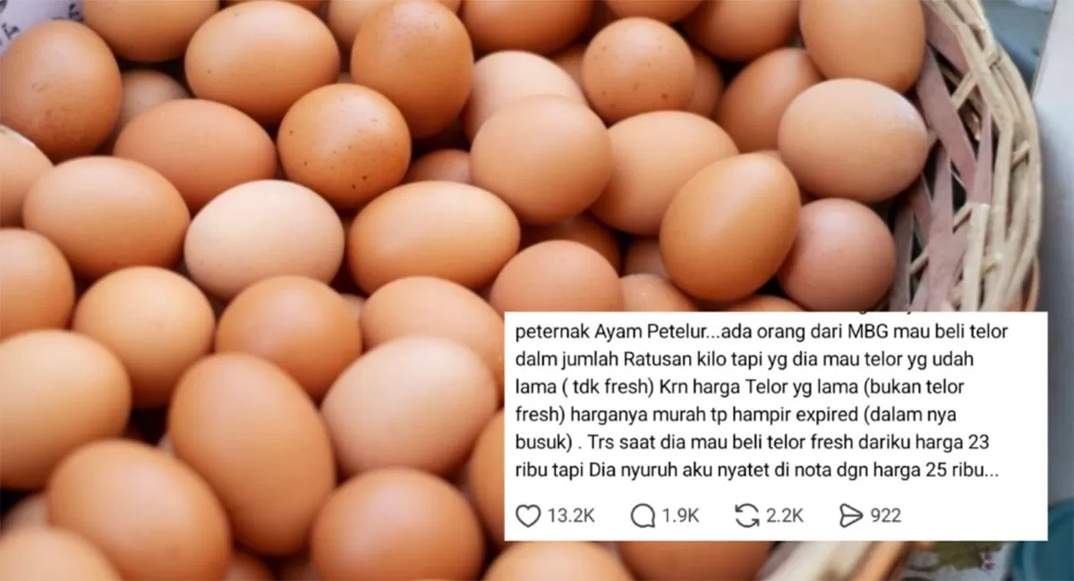 Viral curhatan peternak ayam soal dapur MBG. Ia mengaku diminta menyediakan telur hampir busuk dan menulis harga berbeda di nota. (Magnific/magnific - Threads/rissaayu90)