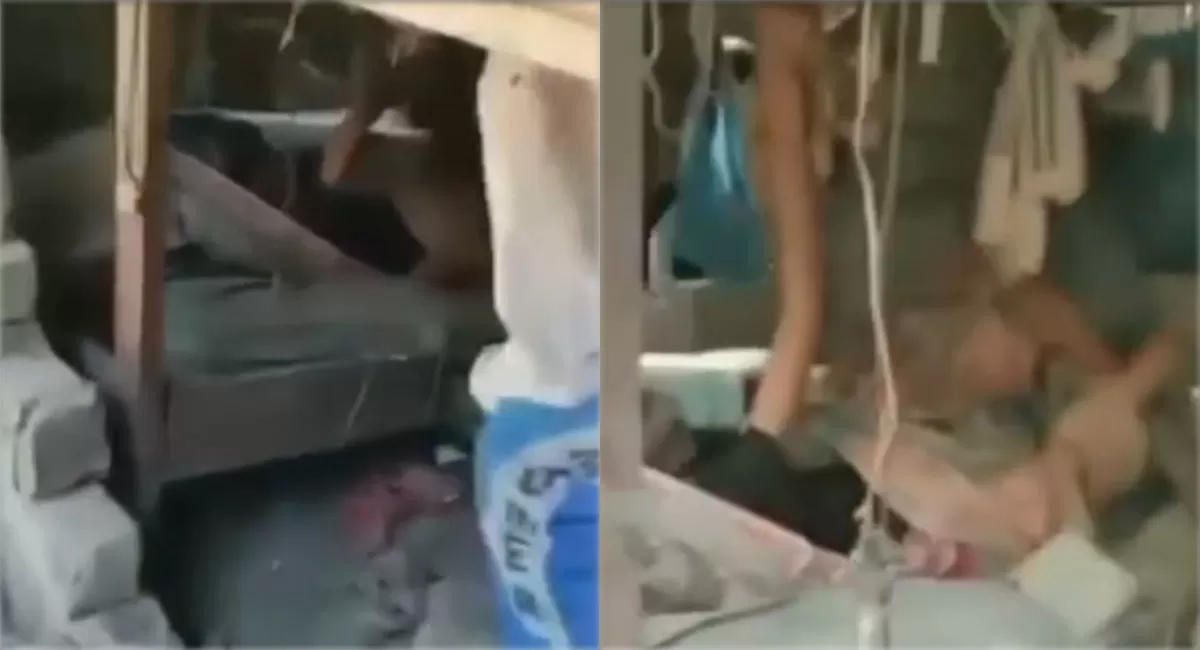 Kisah Paulina Pobi menghebohkan setelah nenek 84 tahun ini ditemukan selamat dari reruntuhan gempa NTT setelah empat hari terjebak. (Instagram.com/bmh_jatim)