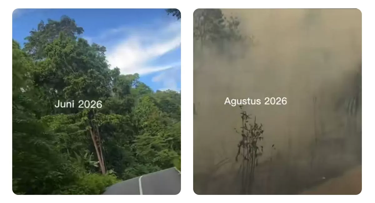 Kabut asap karhutla menyelimuti Biak Numfor Papua. Warga mengeluhkan jarak pandang rendah dan muncul dugaan sejumlah lahan sengaja dibakar. (TikTok/sickmundfreud)