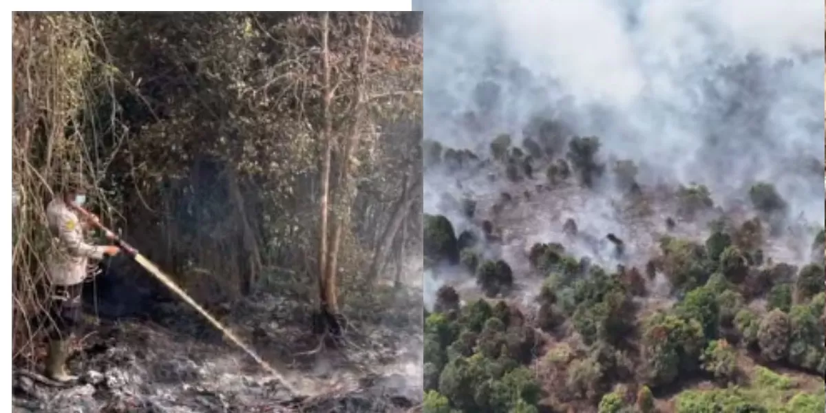 Karhutla Riau menghanguskan 904 hektare lahan. Polda Riau menangani 37 perkara dan menetapkan 40 tersangka sepanjang 2026 di wilayah hukum Riau kini. (Instagram.com/humaspolda_riau)