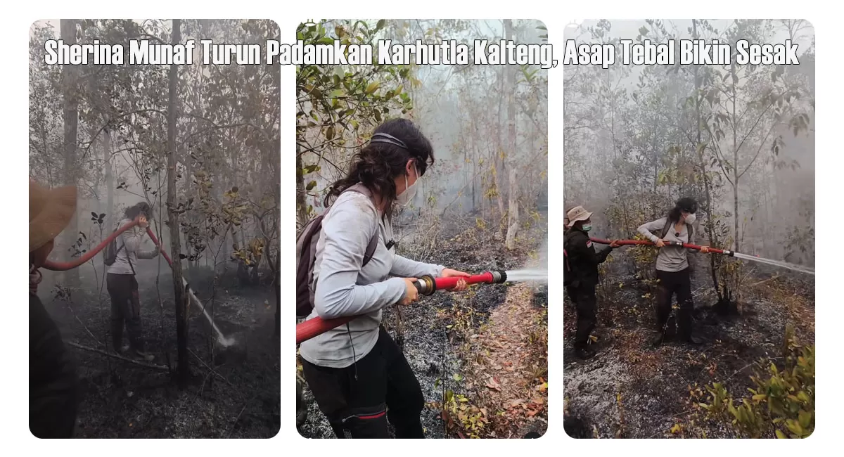 Sherina Munaf turut berjibaku bersama tim untuk membantu memadamkan karhutla di Kalteng, yang diunggahnya pada Rabu, 2 September 2026. (Instagram/bksda_kalteng)