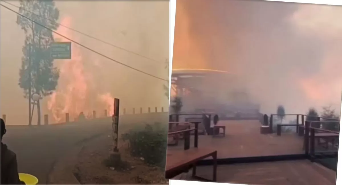 Kebakaran Gunung Bromo meluas ke Jemplang. Pengunjung Bromo Hillside panik setelah asap tebal dan kobaran api mendekati area kafe. (Threads/berryminor)