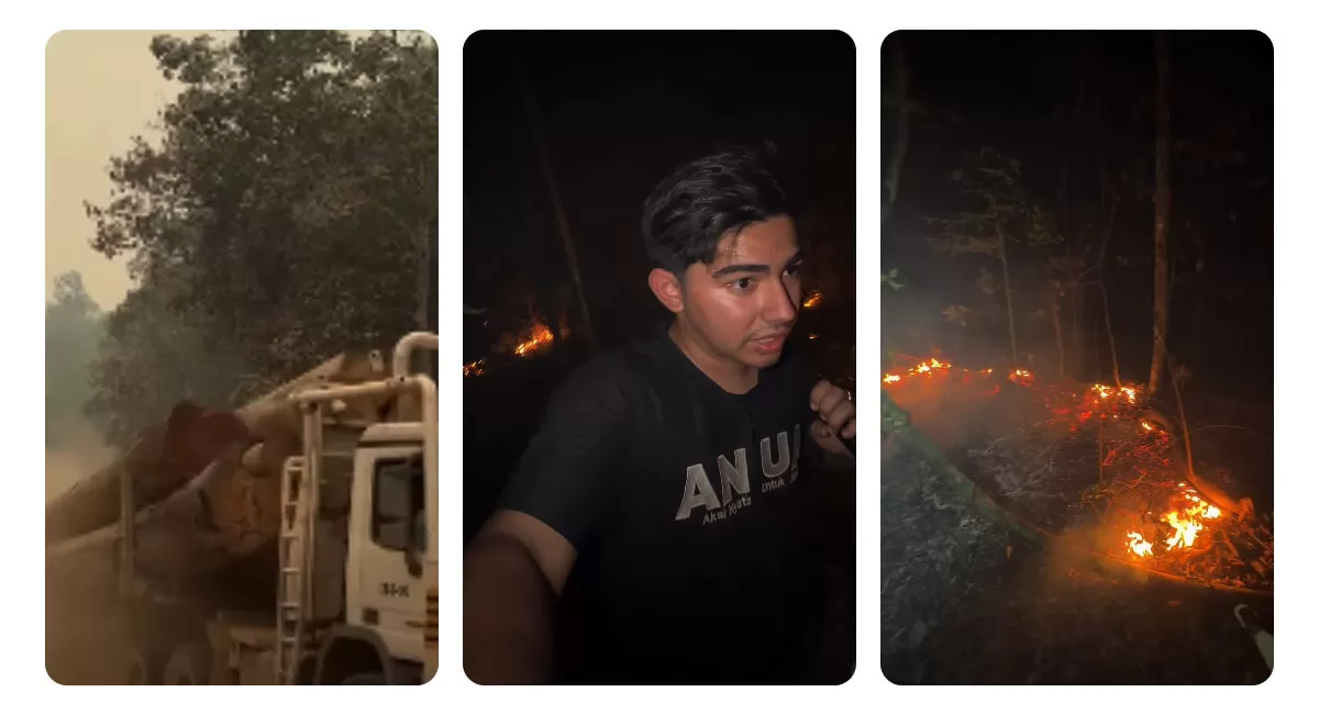 Andrew Kalaweit berpapasan dengan truk pengangkut kayu gelondongan saat bersama tim menangani karhutla di Kalteng. (Instagram.com/@andrewkalaweit)