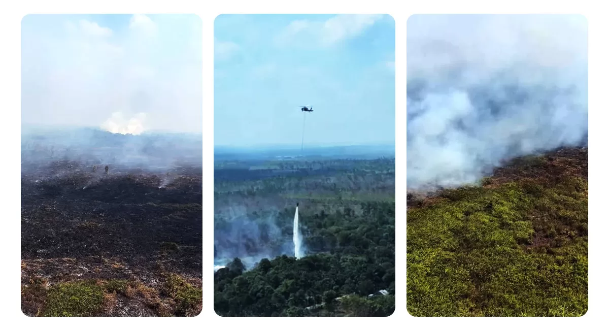 Karhutla Kayong Utara masih ditangani. Petugas terkendala jarak sumber air dan selang yang tak mencapai titik api di Bukit Peramas. (Instagram/bnpb_Indonesia)