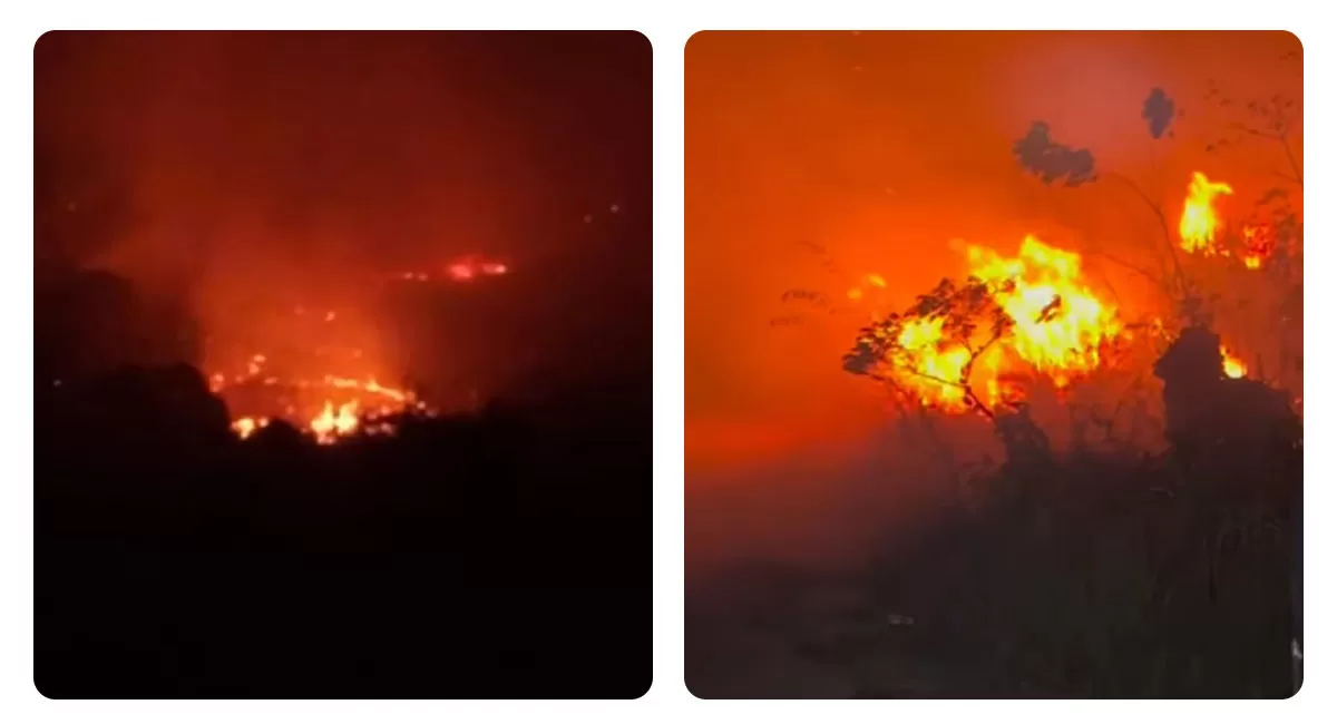 Karhutla di Kutai Barat, Kaltim, mendekati pondok ladang warga. Relawan mengaku kewalahan karena peralatan pemadaman dan pasokan air terbatas. (Instagram/saell.nilong)