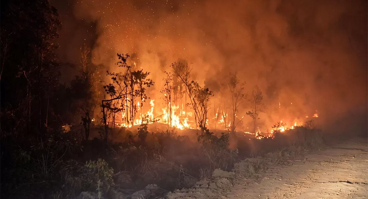 Karhutla Papua Selatan membakar ladang sagu di Kampung Turiram, Merauke, sejak 17 Oktober 2026. Warga adat berupaya memadamkan api. (Threads/helinaola)