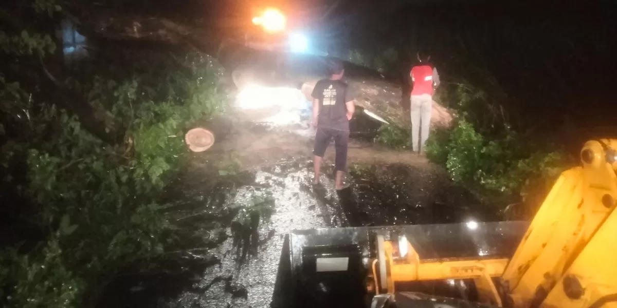Petugas UPT PJJ Ploso, Bina Marga, dan BPBD Jombang bergerak cepat membersihkan lokasi pohon tumbang (dok.istimewa)