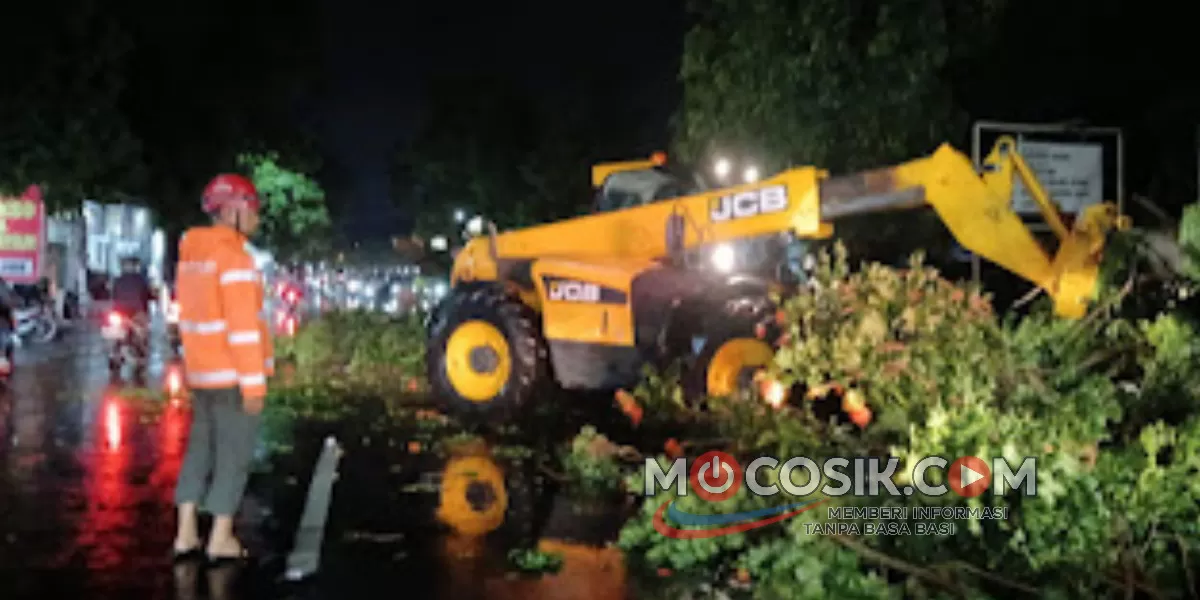 Angin kencang menerjang Jombang dan menyebabkan pohon tumbang serta reklame roboh di lima lokasi (dok.istimewa)