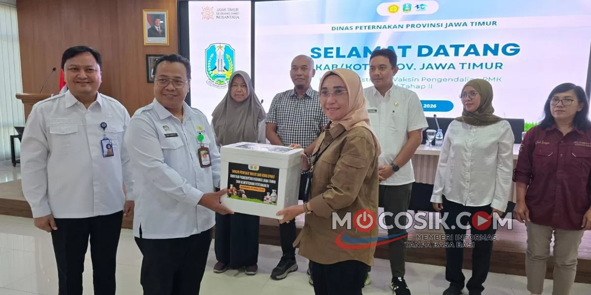 Jelang Idul Adha 1447 H, Disnak Jombang menerima 25.000 dosis vaksin PMK dari Pusvetma (dok.istimewa)