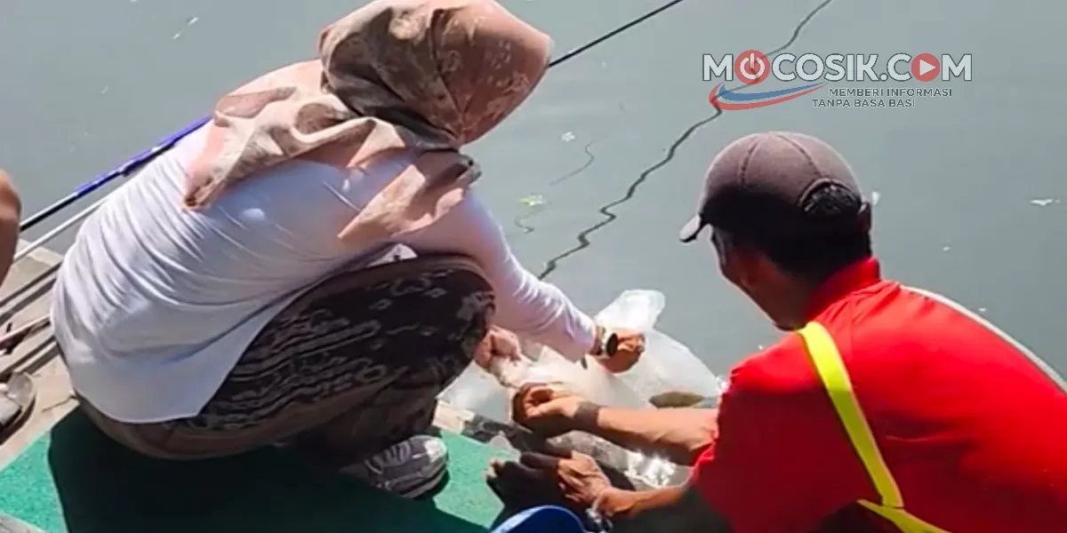 Kepala Disporapar Jombang, Nur Evva Maylia saat menyebar ikan di danau Tirta Wisata (Rudiyanto)