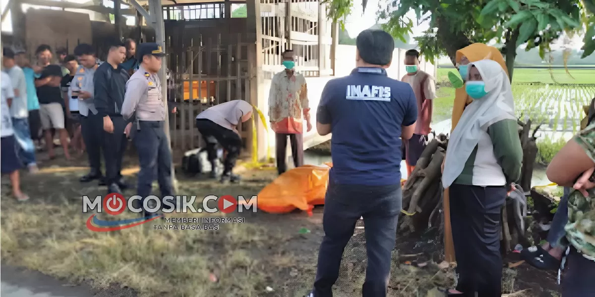 Polisi telah melakukan serangkaian langkah, mulai dari olah TKP, pemeriksaan saksi, hingga visum terhadap korban (dok.istimewa)