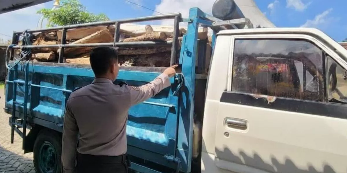 Polisi sita truk bermuatan kayu jati tanpa dokumen di Sumbermanjing Wetan Malang (Humas Polres Malang)