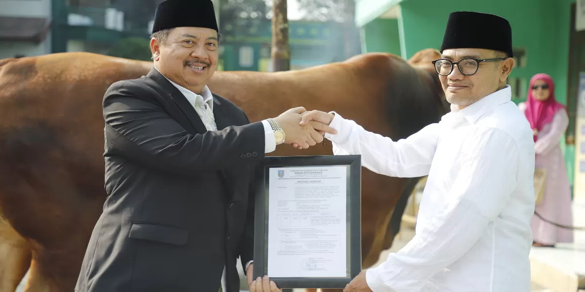 Presiden Prabowo Subianto kirim sapi kurban jenis Limosin 965 kg ke Jombang. Bupati Warsubi serahkan langsung ke Ponpes Denanyar (dok.istimewa)